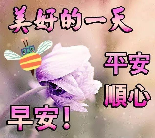 快读 第82页