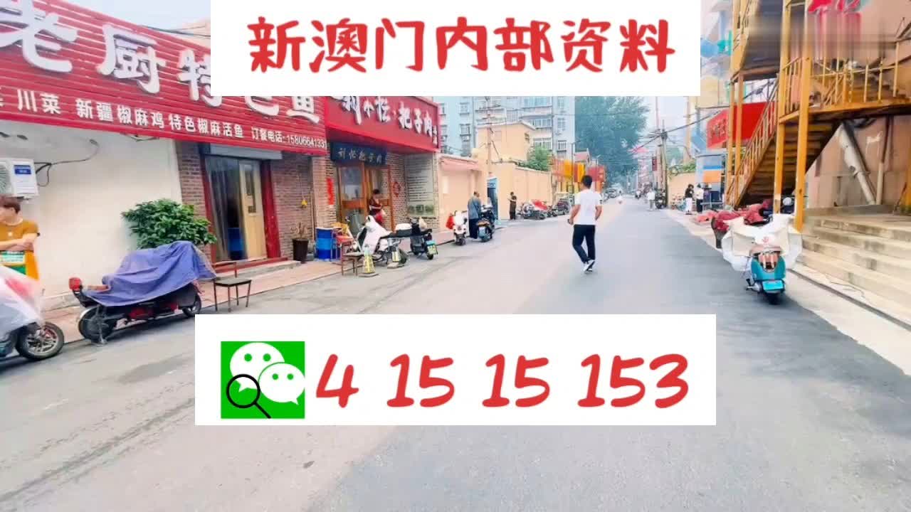 2024新澳门资料大全，完美解答解释落实_The83.52.11