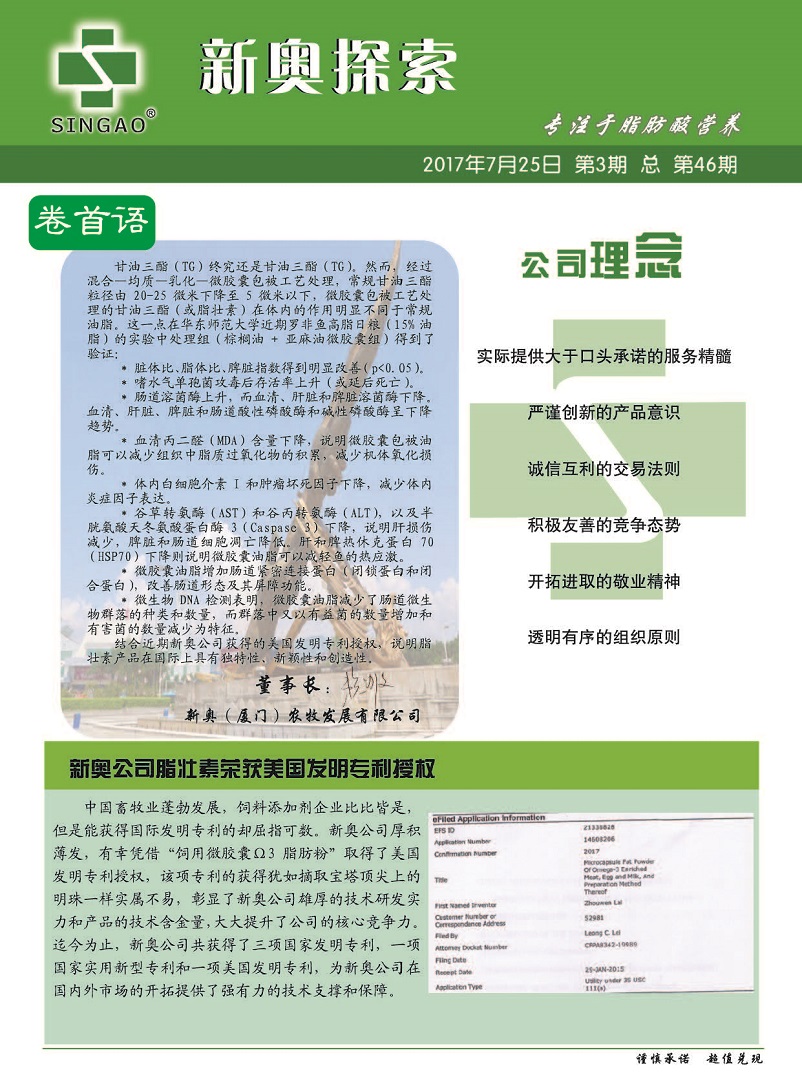 新澳2024年精准资料32期，全面解答解释落实_网页版49.25.26