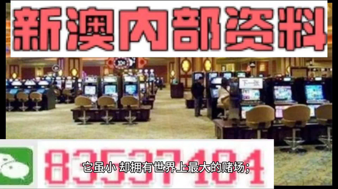 2024澳门精准正版资料，全面解答解释落实_app29.74.60