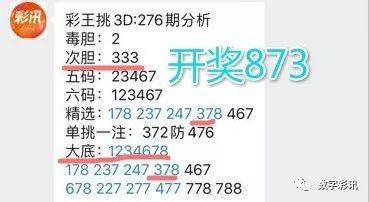 2024新澳门资料大全，精准解答解释落实_3D33.11.47