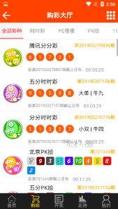 澳门精准王中王三肖三码2021应用，经典解答解释落实_ios17.16.20