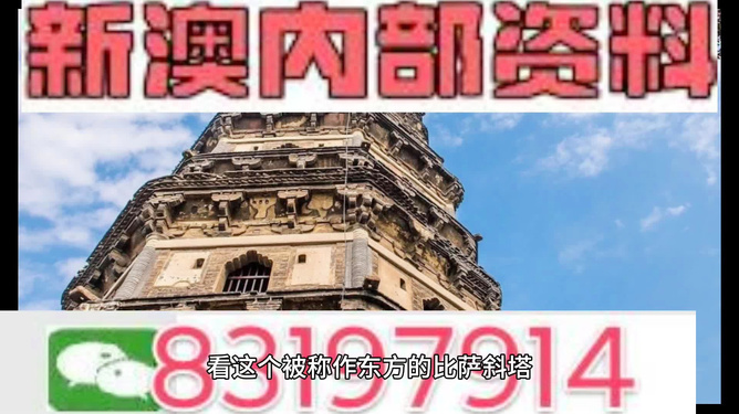 2024澳门精准正版资料63期，全面解答解释落实_战略版84.36.69